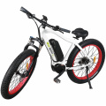 Middle Drive 48V 350W Fat Tyre Electric Bike for Sale